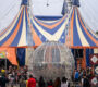 circo 90x80